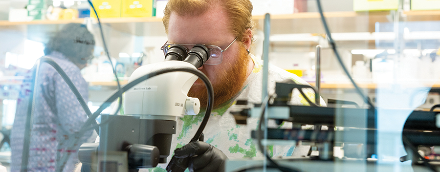 A scientist in a lab looks into a microscope.