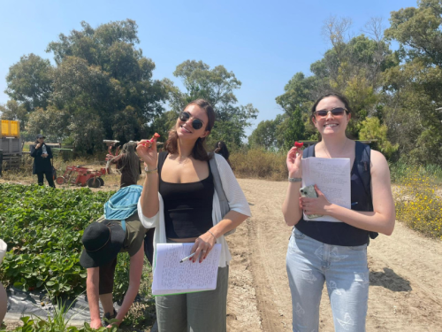 Two smiling WSPH students in a sunny field in Italy, holding freshly picked strawberries.